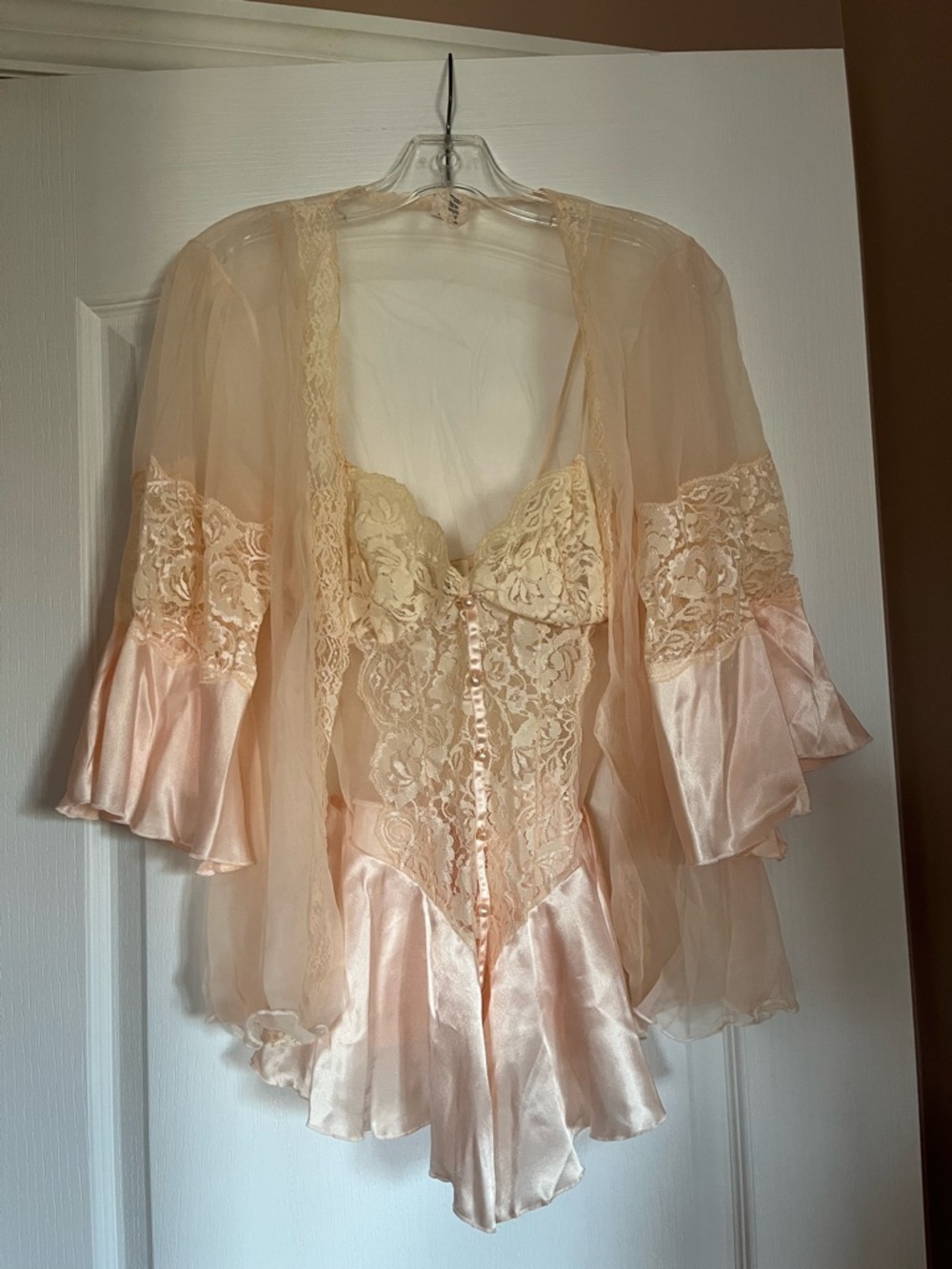 New - Sheer Lace and Satin Chemise Set in Blush Pink
